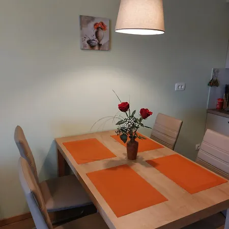 Apartma Nana * نوفي فينودولسكي